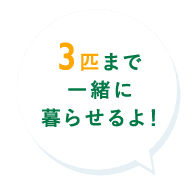 3匹まで一緒に暮らせるよ!